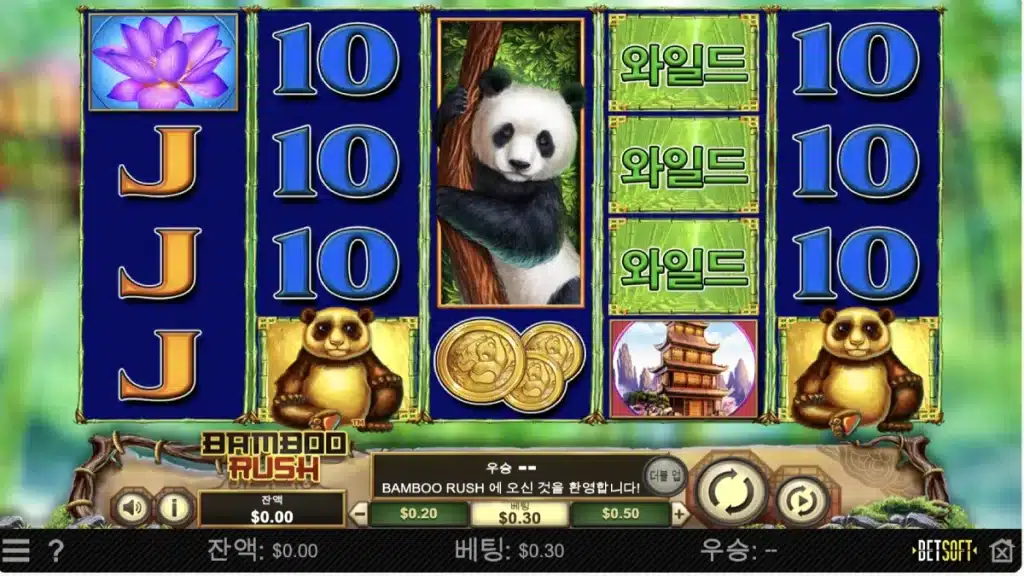 BITCASINO.COM_KO-MOST-POPULAR-GAME-SLOT-IMAGE