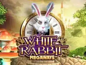 white-rabbit