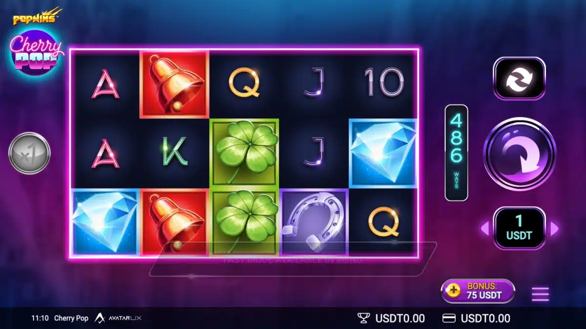 Bitcasino-Video-Slot-EN image-5