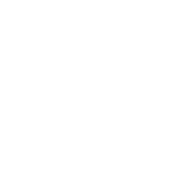 loyalty icon